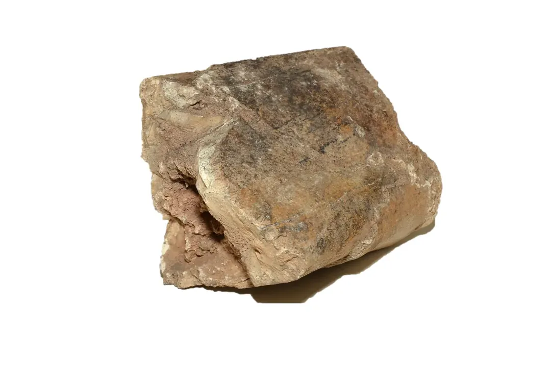 Teca 14