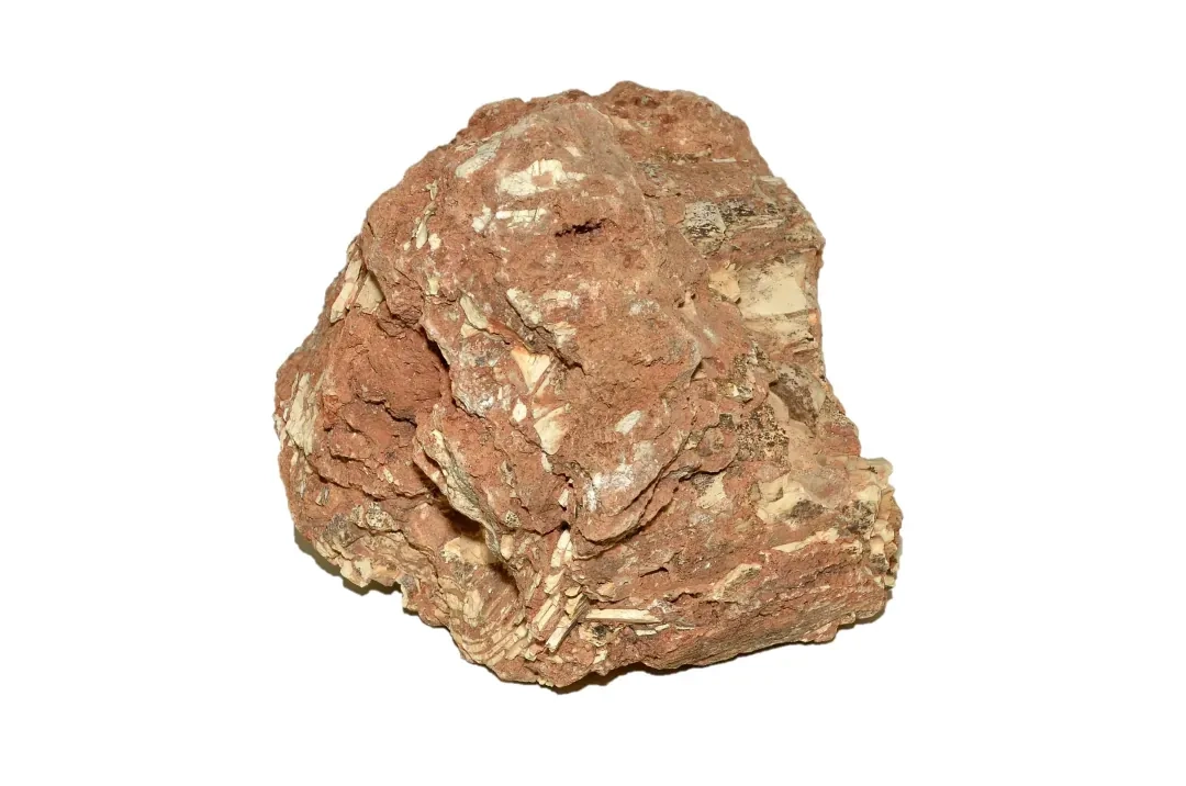 Teca 15